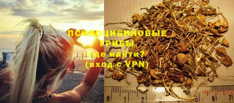 как найти закладки  ссылка на мегу ссылки  Галлюциногенные грибы Psilocybine cubensis  Бирюч 