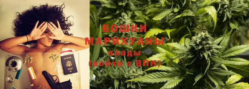 Бошки марихуана индика  Бирюч 